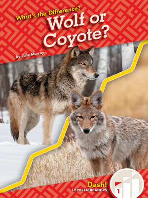 cover image of Wolf or Coyote?